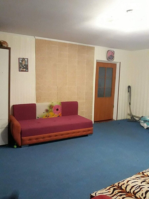 Продаж Будинок на немеца Vinnytsya - photo 14