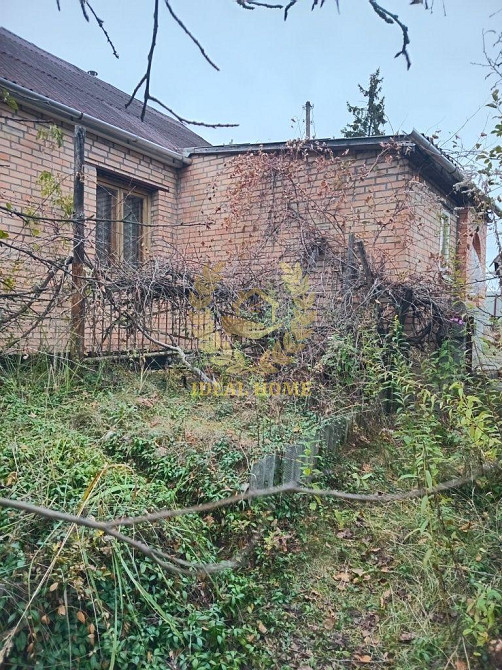 Продам будинок з великою земельною ділянкою в с.Заруддя  - фото 2