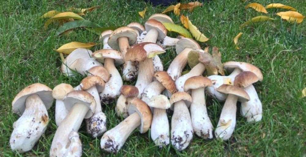 Продаж 3-поверховий Будинок з ділянкою 15 сот 125 кв.м 3 кімн. на Баришівка Zhytomyr - photo 2