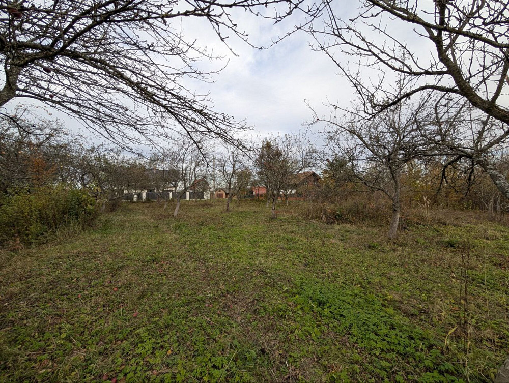 Продаж земельної ділянки 25 соток на Лесі Українки Посіч - фото 8