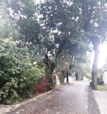 Продаж земельної ділянки 0.1 соток на переулок Клубничный, 17 Odessa - photo 6