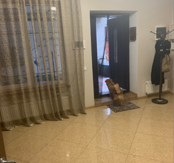 Продам  двухуровневую квартиру на земле 160кв.м. с евроремонтом  и гаражем Одеса