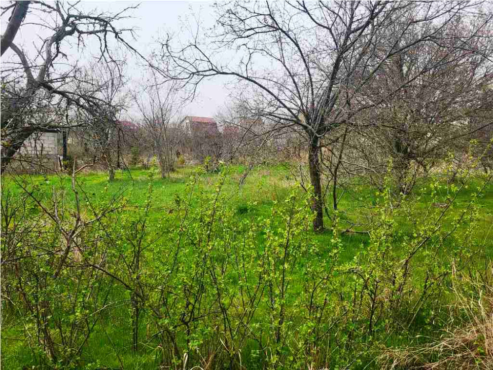 Дом дача в Алтестово Алтестове - фото 5