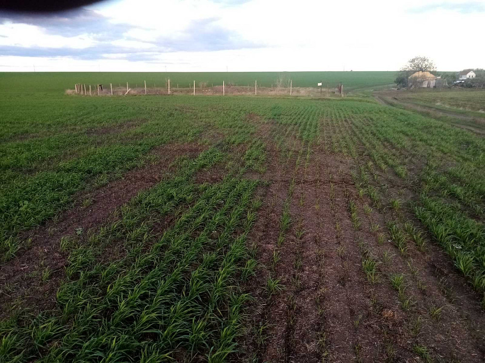 Продаж комерційне приміщення на ул. Центральна, 21 приміщень - 1, поверх - 1  - фото 7