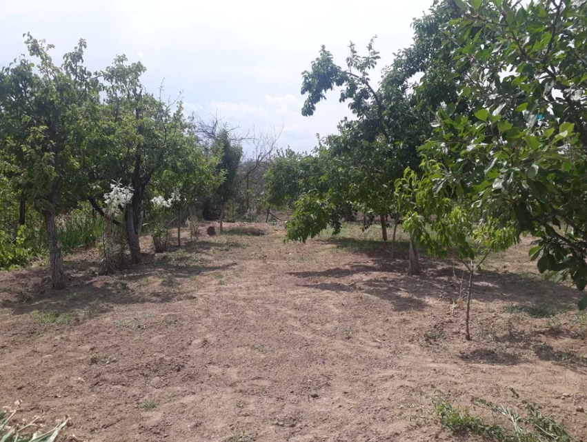 Продам дом в с. Мариновка Маринівка - фото 19