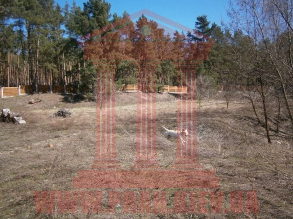 Продаж 2-поверховий Будинок з ділянкою 35 сот 335 кв.м   Проців - фото 2