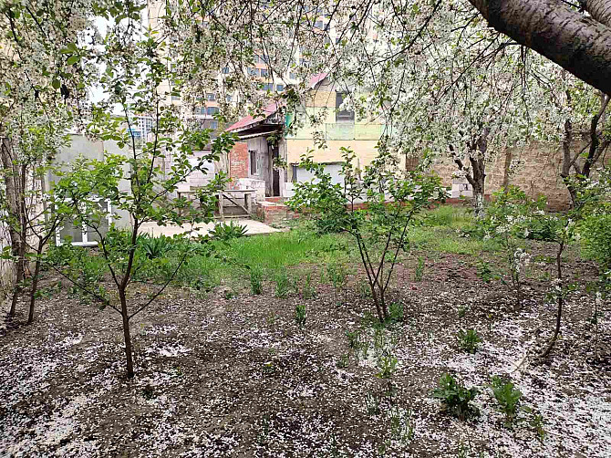 улица Світла Овідіополь - фото 4