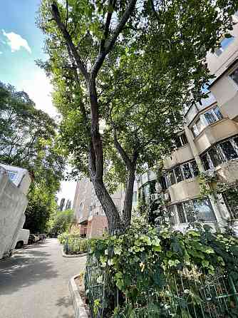 Продаж комерційне приміщення на ул. Люстдорфская дорога, 13 приміщень - 2, поверх - 1 Одеса