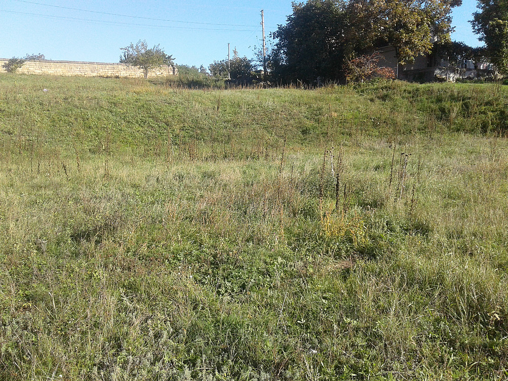 Продаж земельної ділянки 0.3 соток на ул. Массив ?, 56 Усатове - фото 8