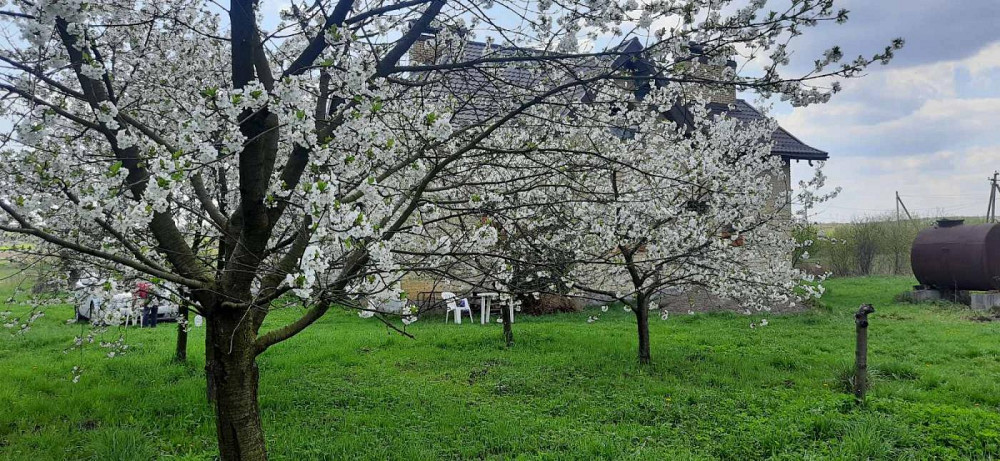 Продаж Квартира на улица Польова 6 Ременів - фото 16