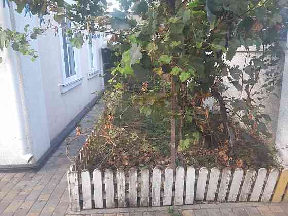 СРОЧНО!!! Продам дом в пос. Большевик (г.Одесса) Одеса