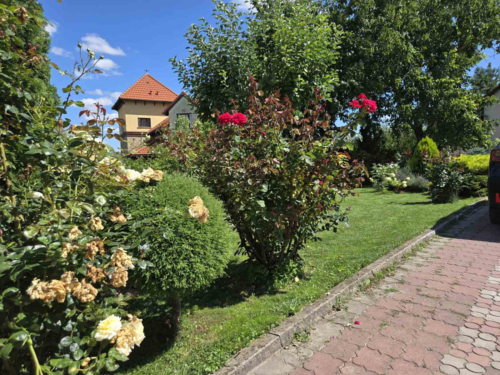 Найкраща пропозиція в м.Тернополі для великої сімї Тернополь - изображение 8