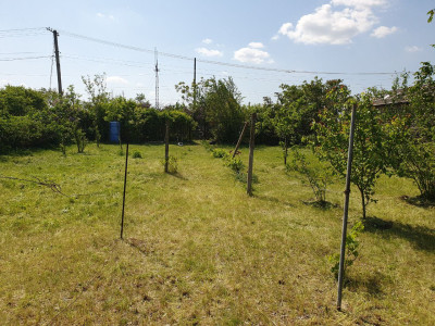 Продаж земельної ділянки 0.1 соток на ул. Тенистая, 142 Новая Долина - изображение 8