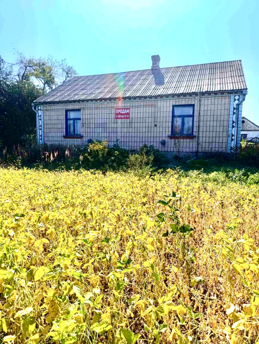 Продаж 1-поверховий Будинок з ділянкою 0.2496 сот 104.4 кв.м 3 кімн. на Новоставська Шостаків - фото 7