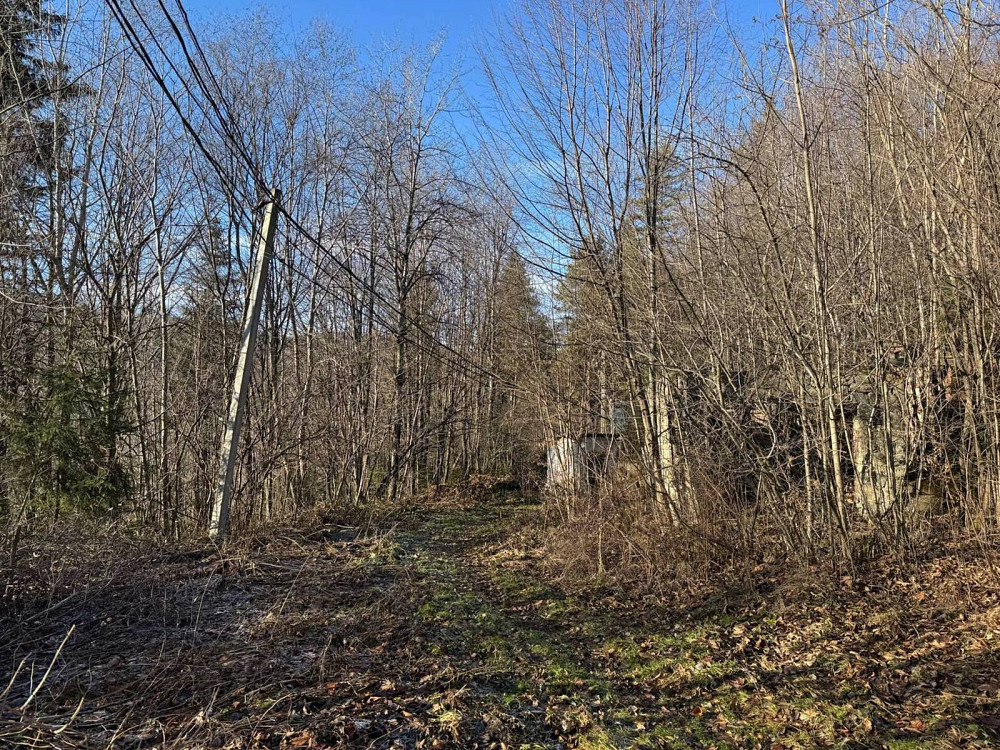 Продаж земельної ділянки 24 соток на Свободі Yaremche - photo 10