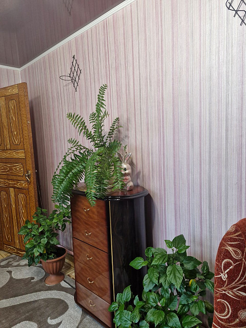 Продаж Будинок 5-кімнатний на ул. Маршрутная (ул. Чкалова), 20 Velyka Balka - photo 19