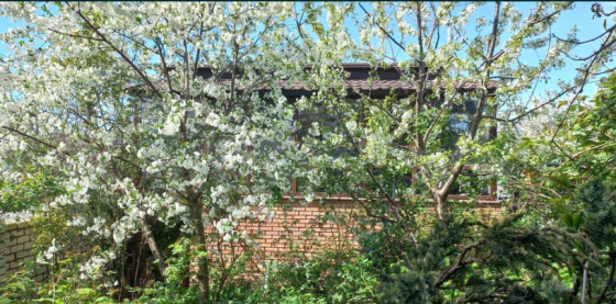 Продам дом у моря в Черноморке! 5–10 минут пешком до пляжа! Одеса