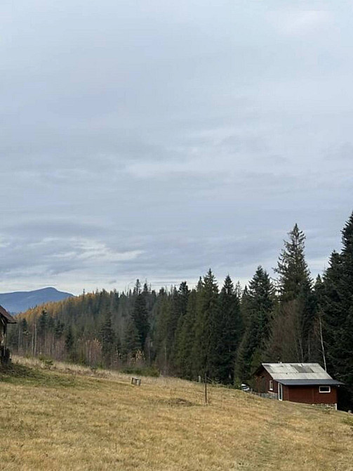 Продаж земельної ділянки 53.33 соток  - photo 3