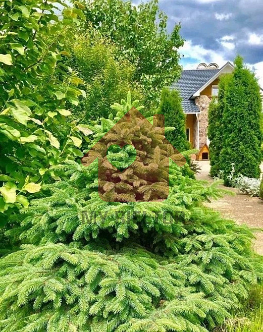 Продаж Будинок  - фото 4