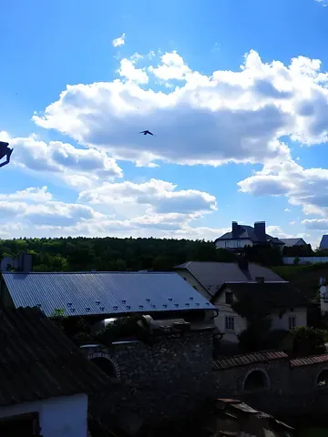 Продаж земельної ділянки  площа 6 сот Глибока Долина вулиця Тернопіль - фото 11