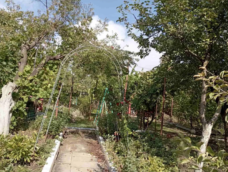 Продам дачу на берегу Хаджибеевского лимана (СМ "Отрадово", Болгарка) Odradove - photo 7