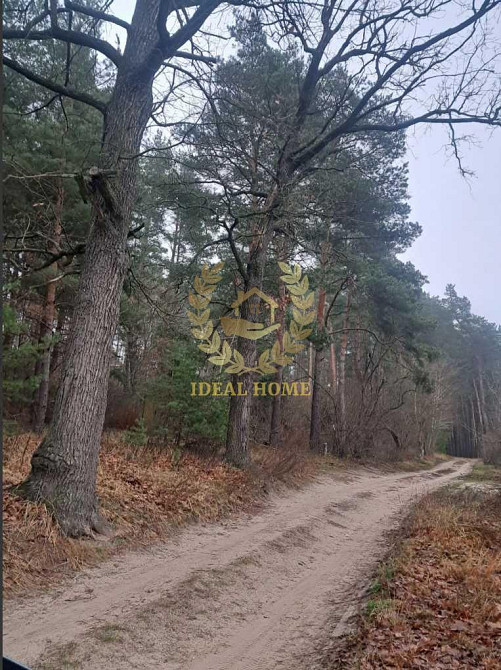 Продаж Будинок 2-кімнатний Maliutianka - photo 9