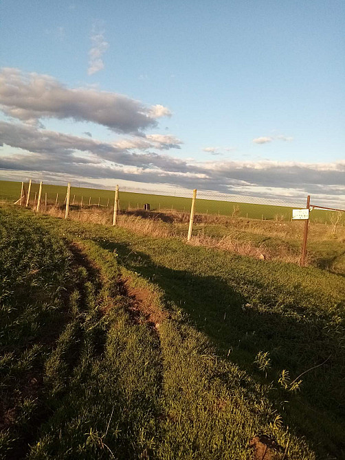 Продаж комерційне приміщення на ул. Центральна, 21 приміщень - 1, поверх - 1  - фото 4