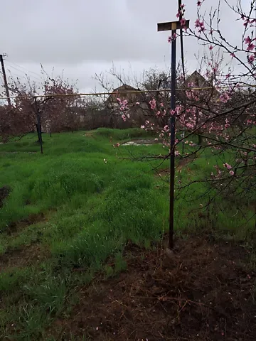 Продажа 1-этажный   66.5 кв.м 2 комн. на Миропольського лікаря вулиця 13 Николаев - изображение 9