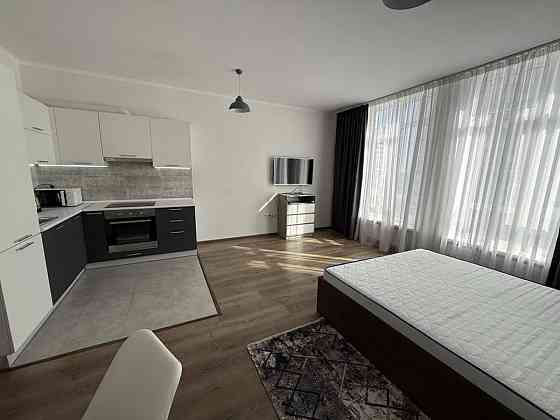 Оренда Квартира 1-кімнатна, 19/25 поверх на Олени Пчілки, 7 Київ