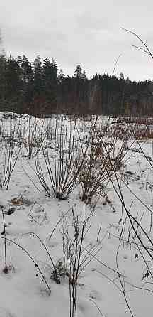 Продаж земельної ділянки 10 соток на Зарічани(в лісі) Zhytomyr