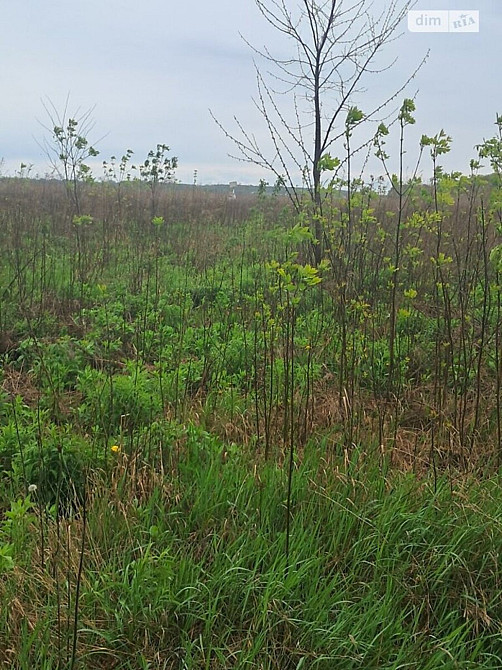 Продаж земельної ділянки 6 соток  - изображение 1
