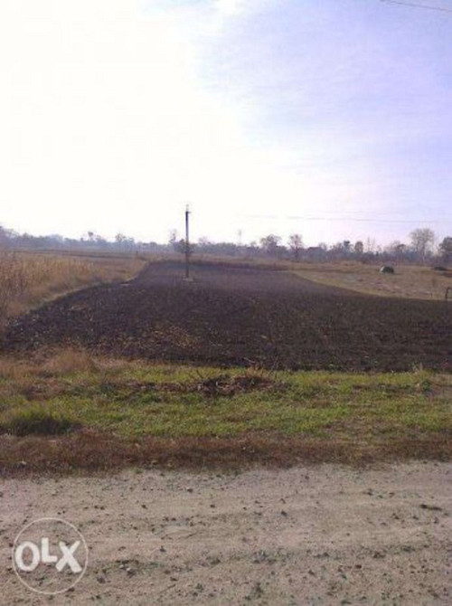 Продаж земельної ділянки 25 соток на Щорса  - фото 1