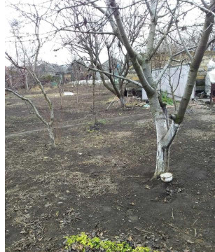 Продаж земельної ділянки 6 соток на ул. Калинина, 3 Нерубайське - фото 2