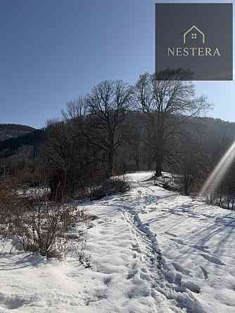 Продаж Будинок Невицьке