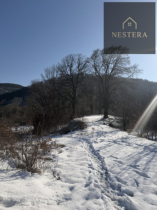 Продаж Будинок Невицьке - фото 1