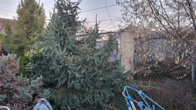 Продаж земельної ділянки 0.1 соток на переулок Карпенко-Карого (переулок Академика Вильямса), 4 Одеса - фото 3