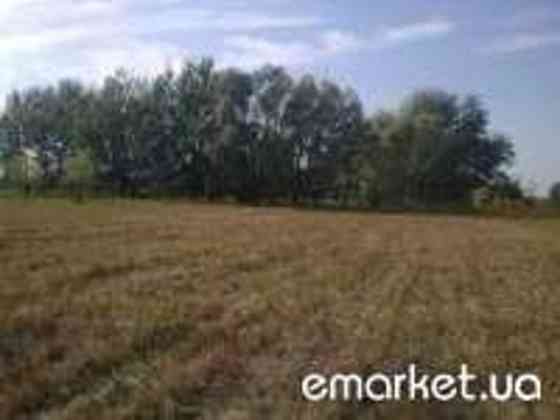 Продаж земельної ділянки 25 соток 