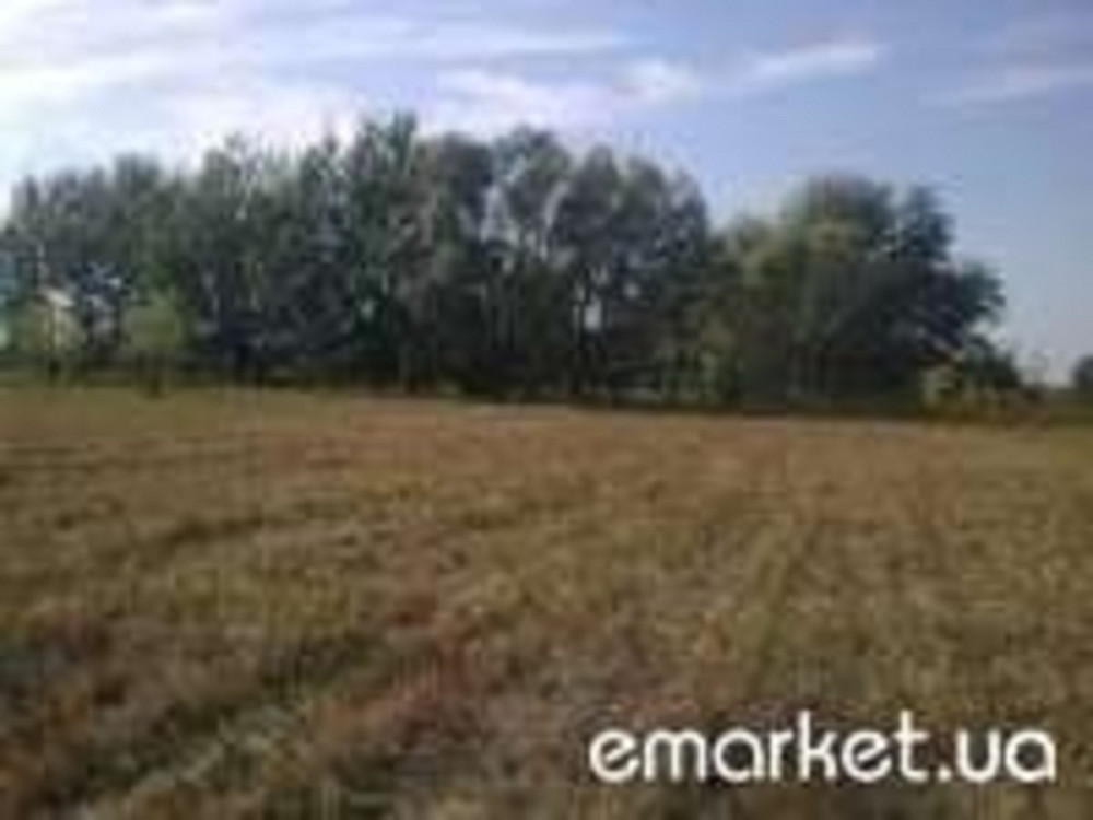 Продаж земельної ділянки 25 соток  - фото 1