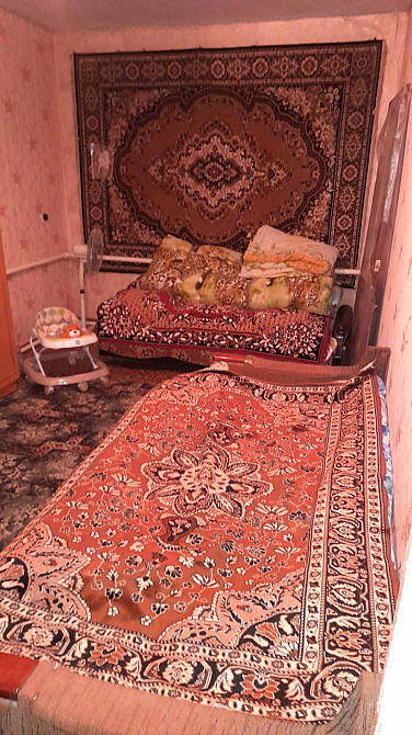 Продам дом в с.Трояндово (Лиманский р-н, 50 км от Одессы)  - фото 11