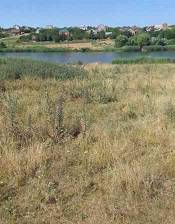 Продаж земельної ділянки 12 соток Бережинка (Кіровоградський район)