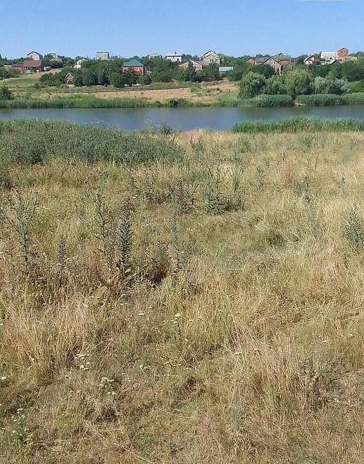 Продаж земельної ділянки 12 соток Бережинка (Кіровоградський район) - фото 5