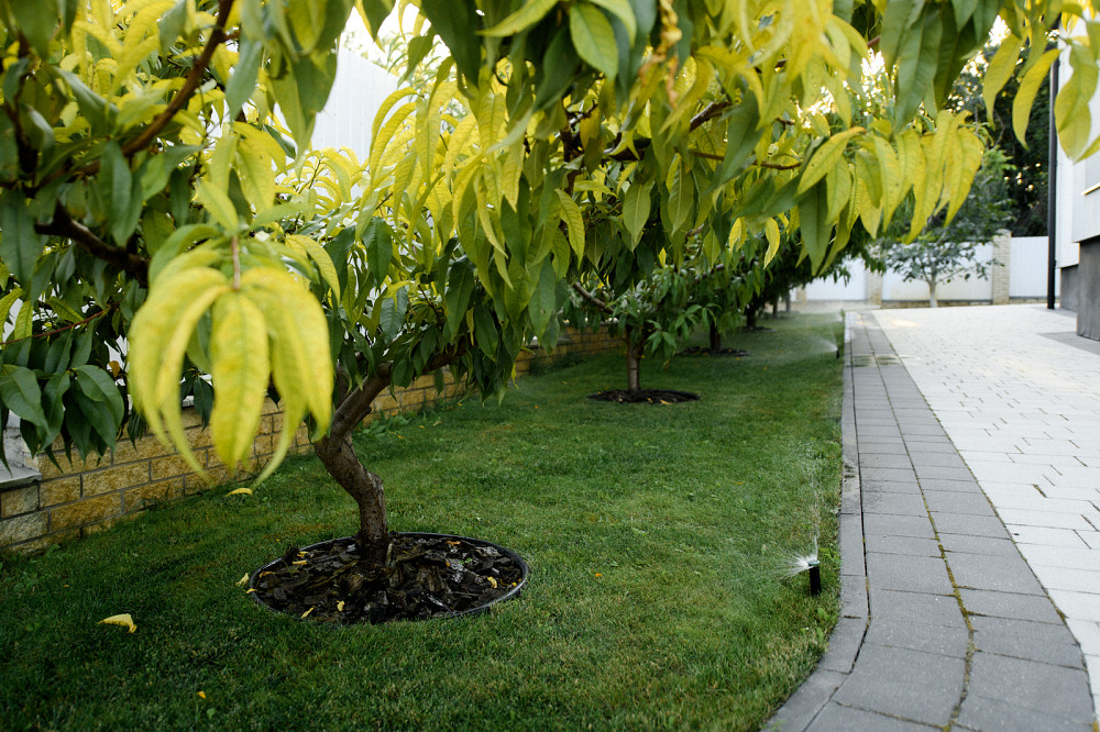 Продаж елітного будинку у пригороді Тернополя, с.Байківці Байківці - фото 10