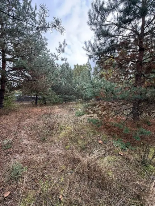 For sale 2-storey House with land 30 ares 300 sq.m 5 rooms at Київська область, Києво-Святошинський район, с. Дмитрівка, вулиця Вишнева, 53 Irpin - photo 19