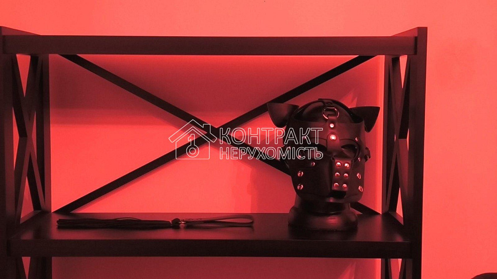 Оренда Квартира 1-кімнатна, 4/8 поверх на вул. Динамівська Kharkiv - photo 4