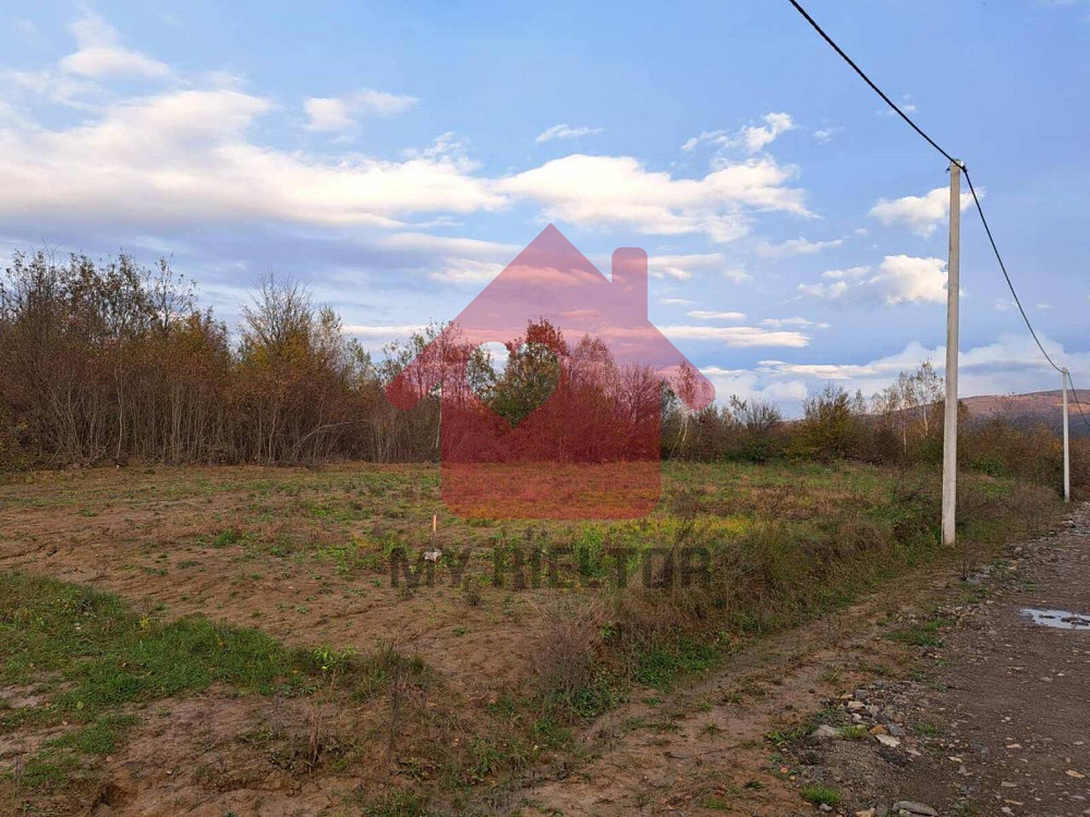 Продаж земельної ділянки 24 соток на невицька  - photo 10