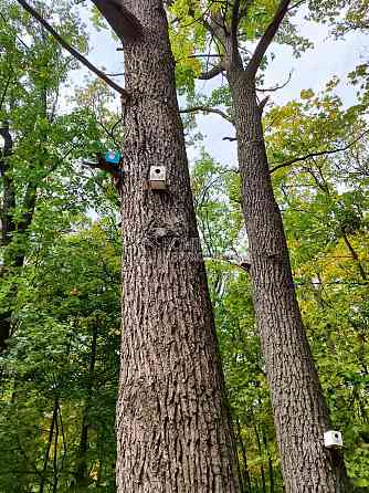 Продаж Квартира 3-кімнатна, 7/16 поверх на вул. Грозненська Харків