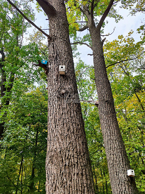 Продаж Квартира 3-кімнатна, 7/16 поверх на вул. Грозненська Kharkiv - photo 5