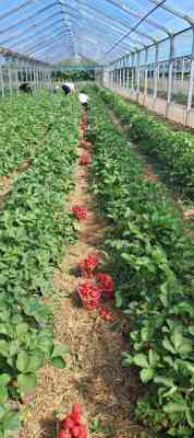 Продаж земельної ділянки 0 соток на ул. Молодіжна, 5 Роздільна