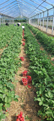 Продаж земельної ділянки 0 соток на ул. Молодіжна, 5 Rozdil'na - photo 2