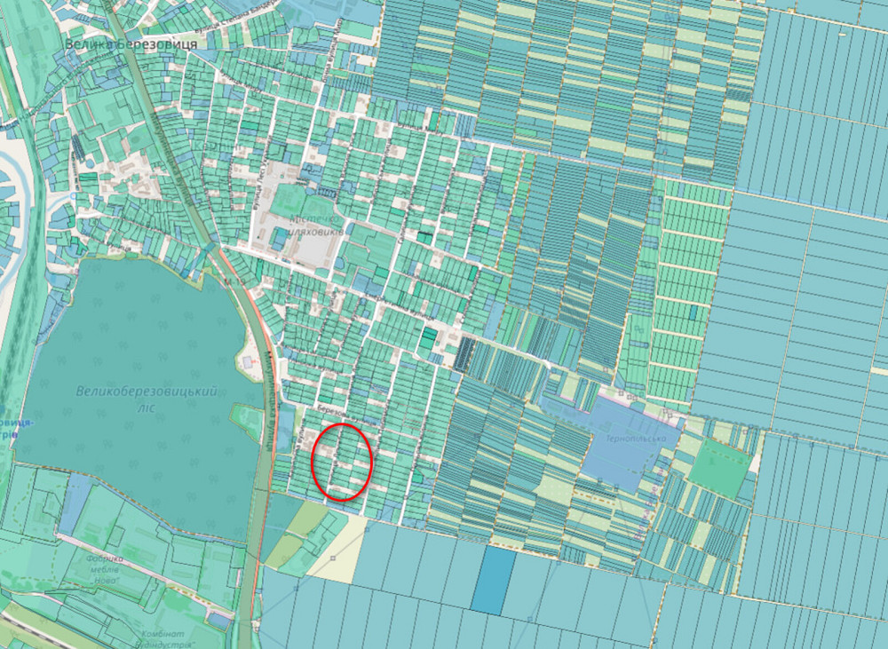 Продаж земельної ділянки 12 соток Великая Березовица - изображение 4